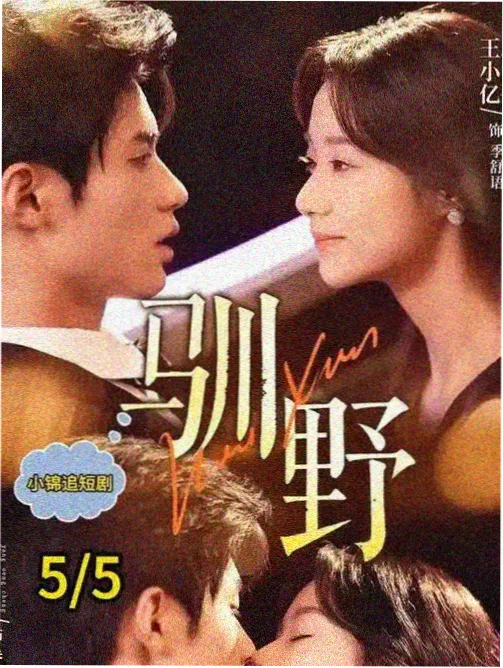 山海邮路 已完结在线观看